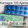 Kamagra 100 Ajanta new02